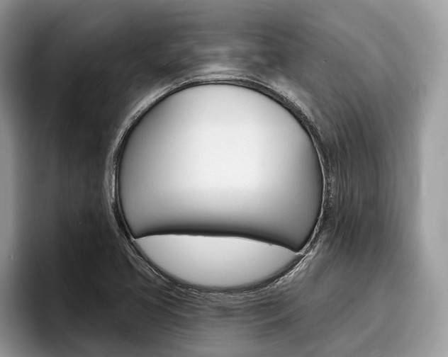 X0000096171413200801180821