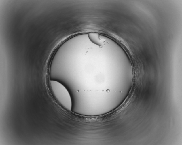 X0000096171415200801180821