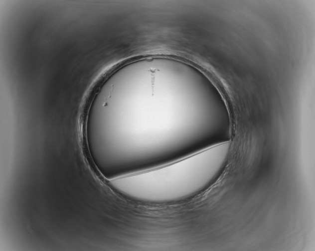 X0000096171416200801180821