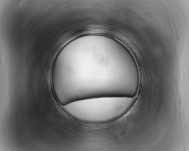 X0000096171417200801180821