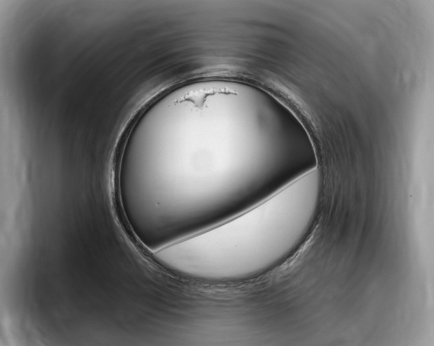 X0000096171418200801180821