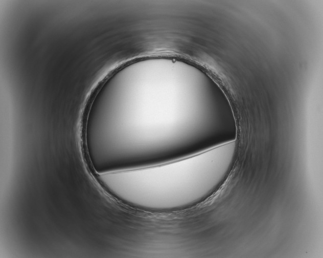 X0000096171422200801180821