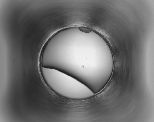 X0000096171423200801180821