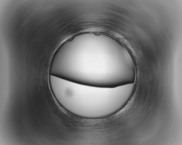 X0000096171425200801180821