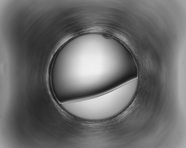 X0000096171426200801180821