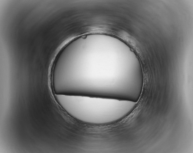 X0000096171427200801180821