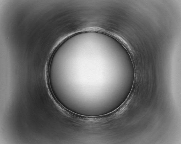 X0000096171430200801180821