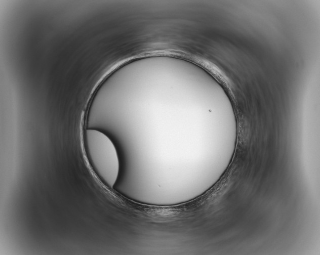 X0000096171431200801180821