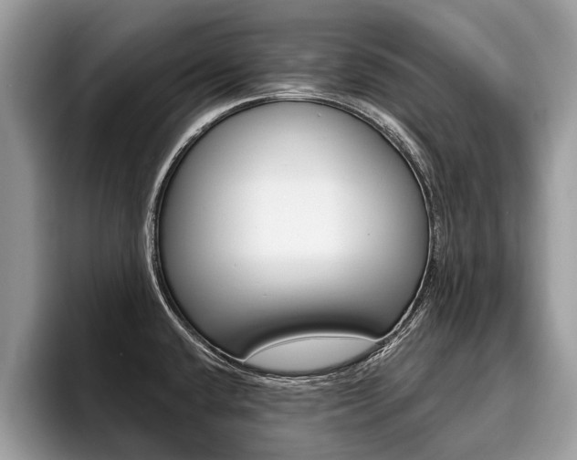 X0000096171432200801180821