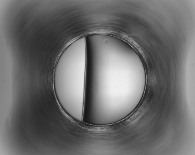 X0000096171433200801180821