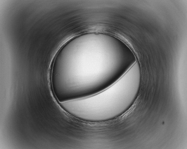 X0000096171434200801180821