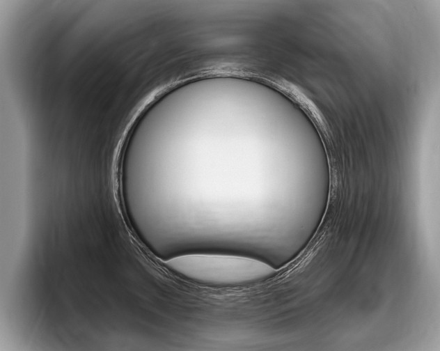 X0000096171435200801180821