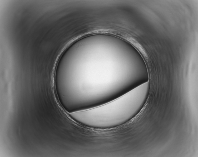 X0000096171436200801180821