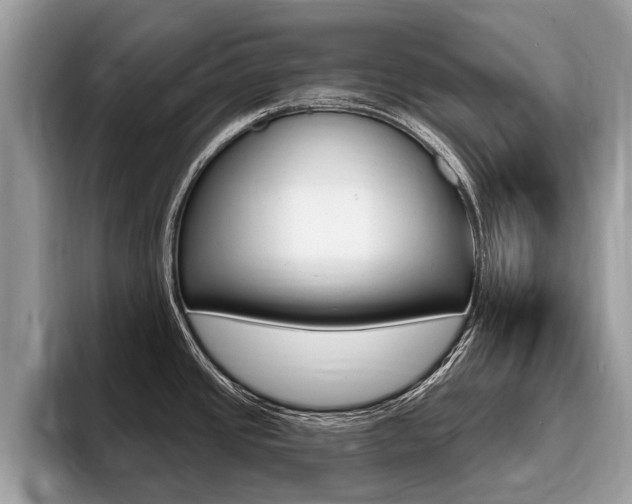 X0000096171437200801180821