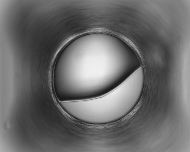 X0000096171438200801180821