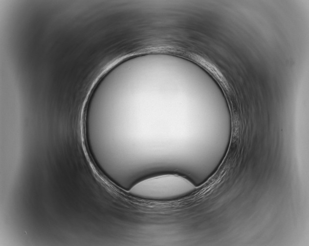 X0000096171439200801180821