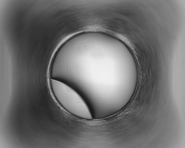 X0000096171440200801180821