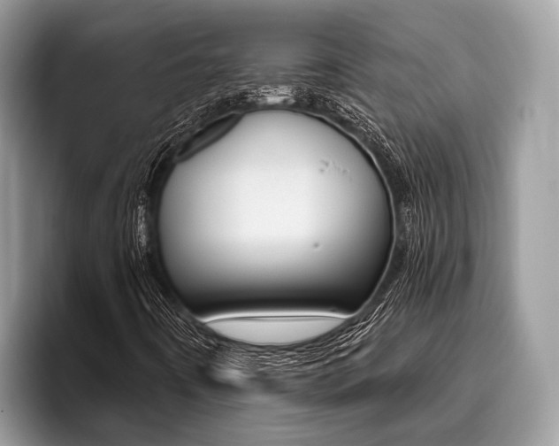 X0000096171442200801180820