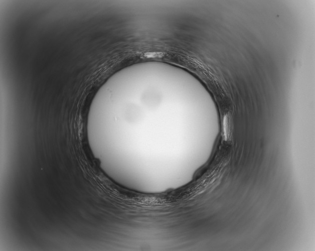X0000096171443200801180820