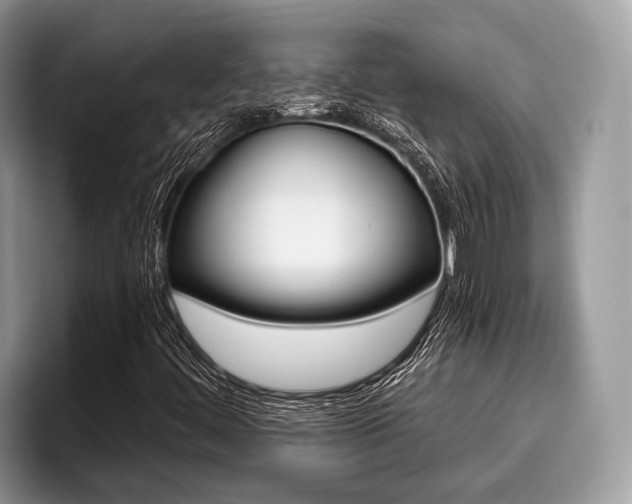 X0000096171444200801180820