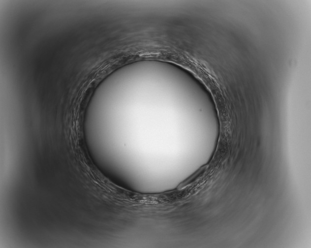 X0000096171445200801180820
