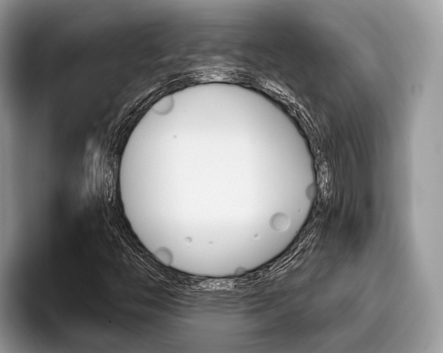 X0000096171446200801180820