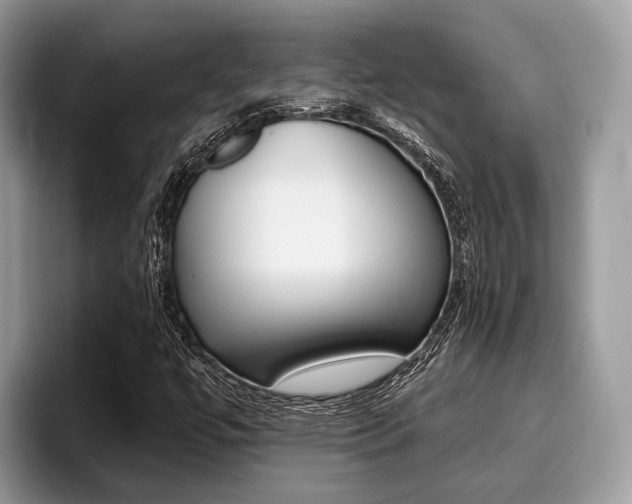 X0000096171447200801180820