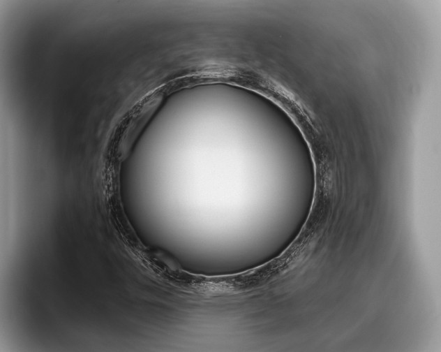 X0000096171448200801180820