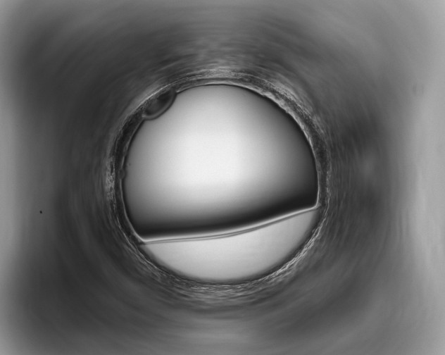 X0000096171450200801180820
