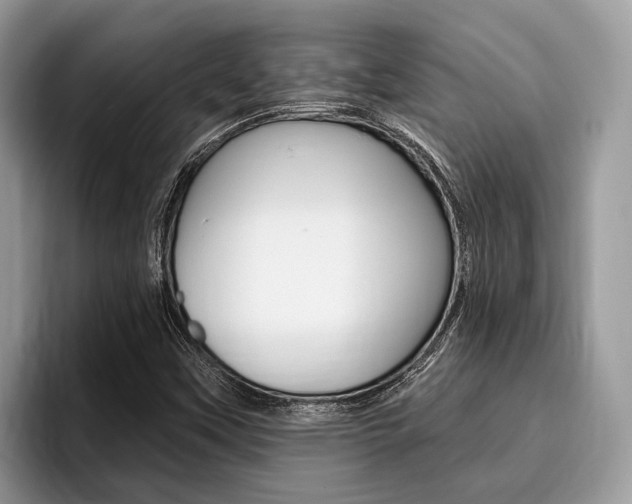 X0000096171451200801180820