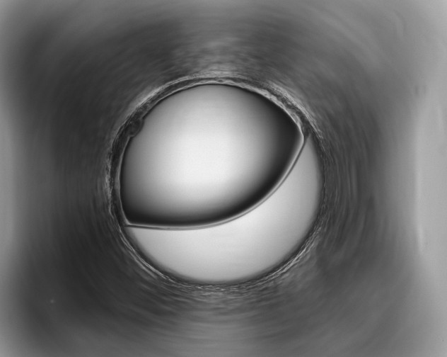 X0000096171452200801180820