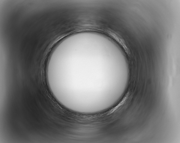 X0000096171453200801180820