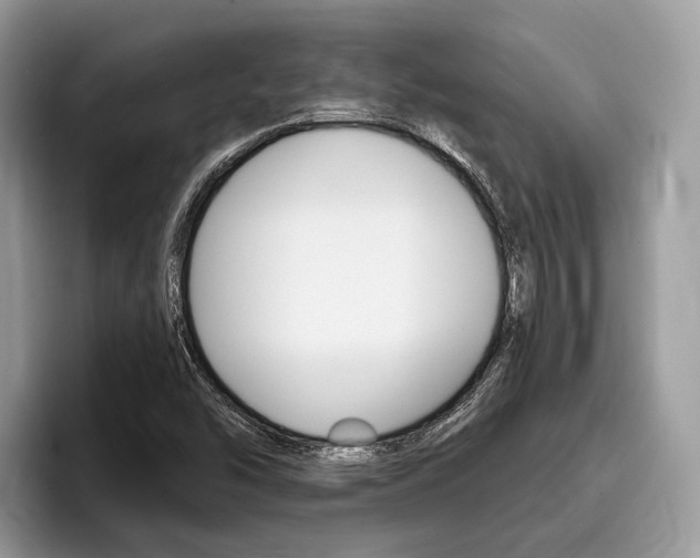 X0000096171454200801180820
