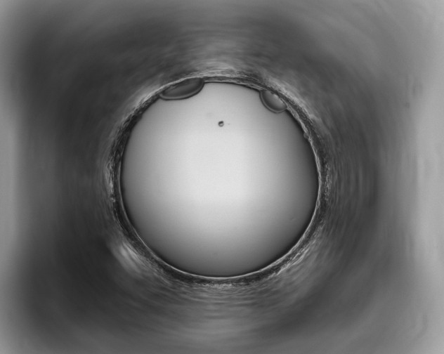 X0000096171455200801180820