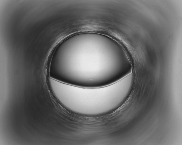 X0000096171459200801180820