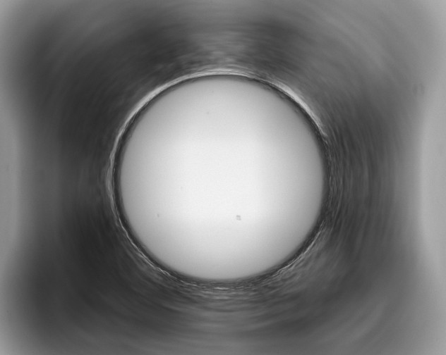 X0000096171460200801180820