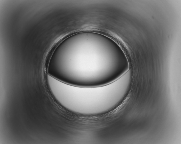 X0000096171461200801180820