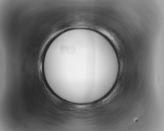 X0000096171462200801180820