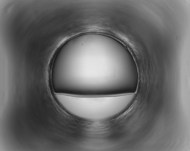 X0000096171463200801180820