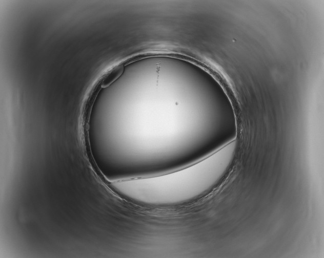 X0000096171464200801180820