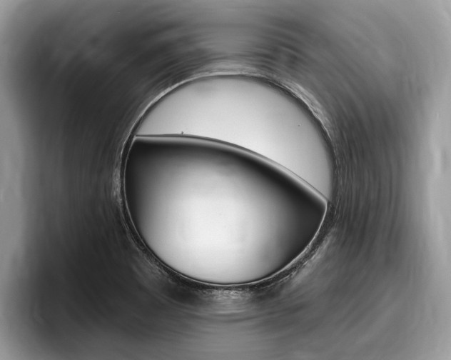 X0000096171465200801180820