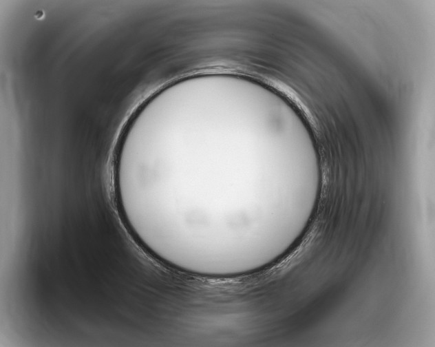 X0000096171466200801180820