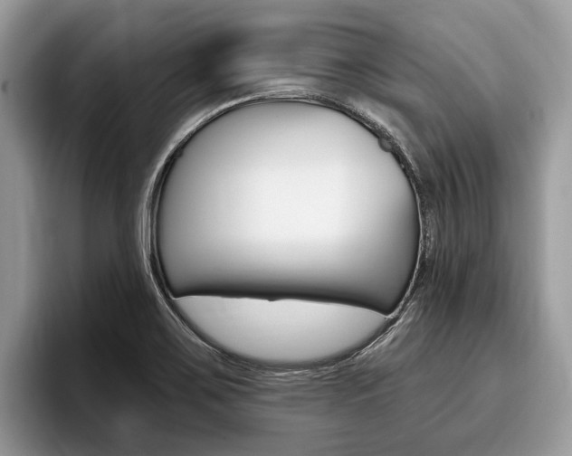 X0000096171467200801180820