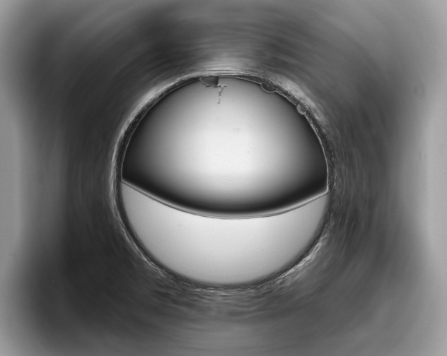 X0000096171469200801180820