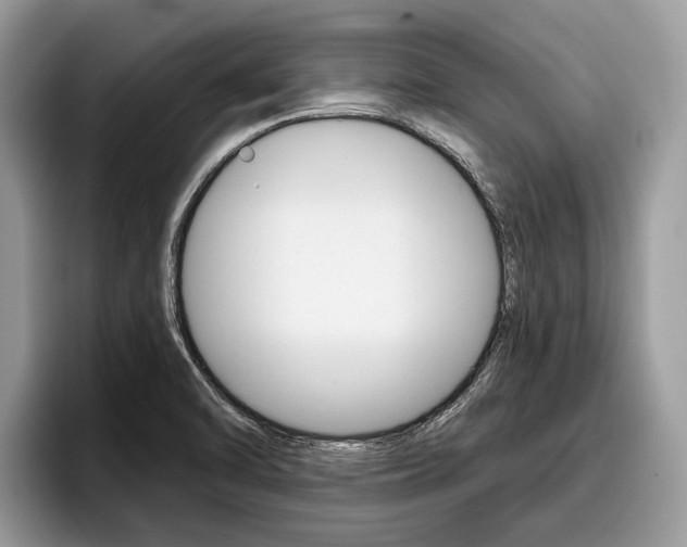 X0000096171470200801180820
