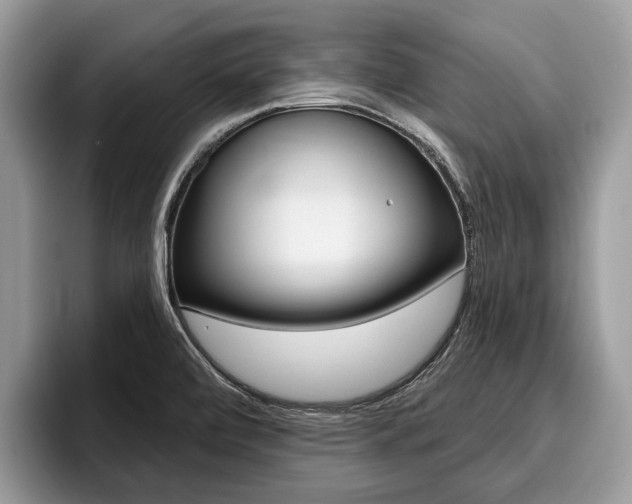X0000096171472200801180820