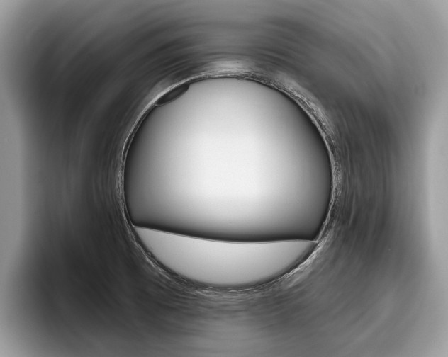 X0000096171473200801180820