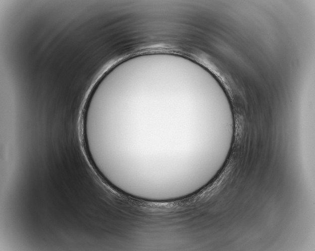 X0000096171474200801180820