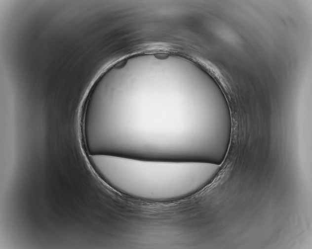 X0000096171475200801180820