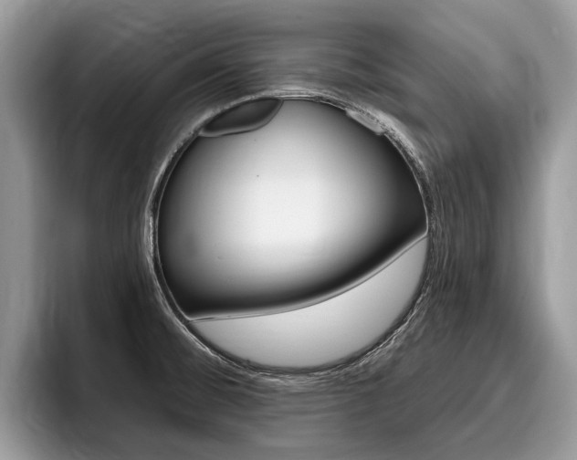 X0000096171476200801180820